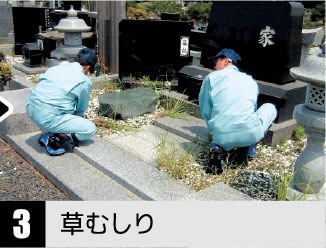 草むしり